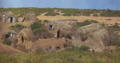 Mantria_2_400.jpg